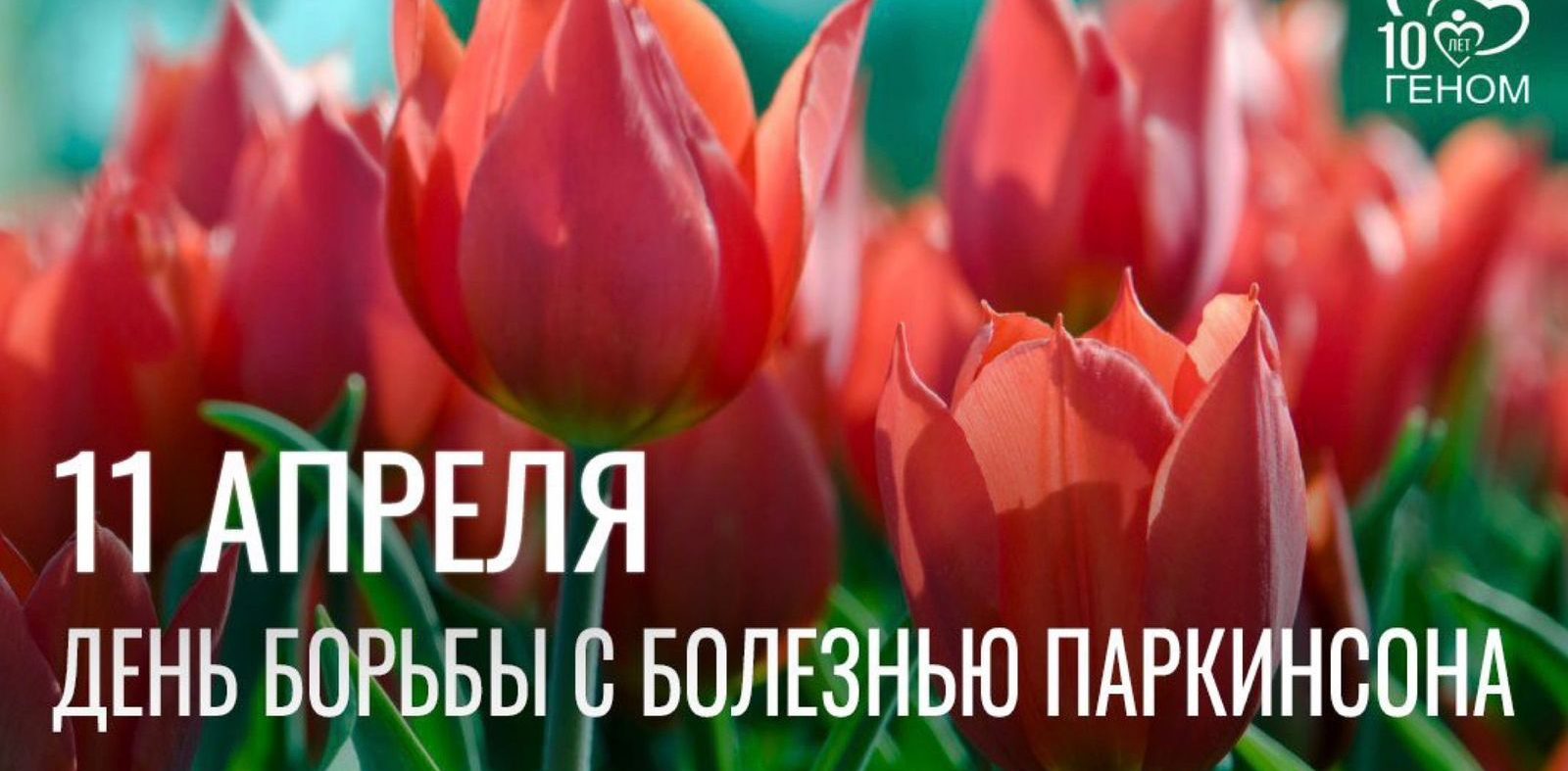 6 апреля в 13.00 «Школа для пациентов с болезнью Паркинсона» Санкт-Петербурга приглашает всех на встречу добрых и неравнодушных людей